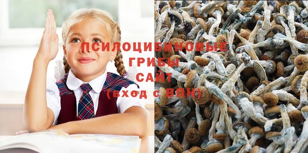 соль курить ск Алзамай