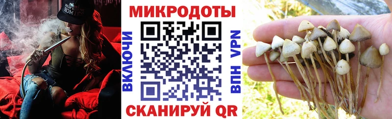 Галлюциногенные грибы мухоморы  Апатиты 
